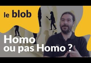 Embedded thumbnail for Interview | Luzonensis : Homo ou pas Homo ? Avec Florent Détroit 