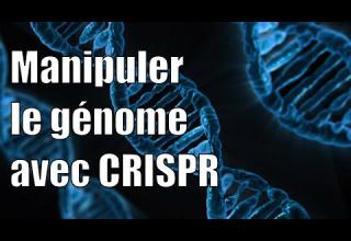 Embedded thumbnail for Modifier le génome avec CRISPR