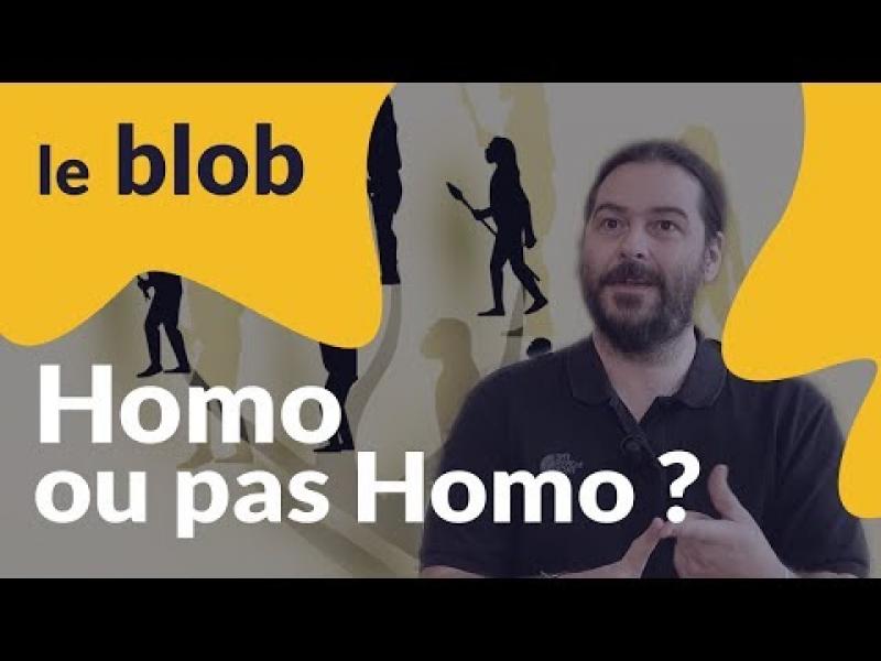 Embedded thumbnail for Interview | Luzonensis : Homo ou pas Homo ? Avec Florent Détroit 