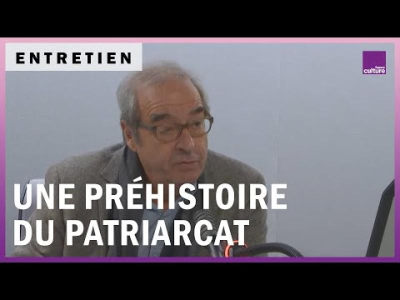 Embedded thumbnail for Pascal Picq, une préhistoire du patriarcat 