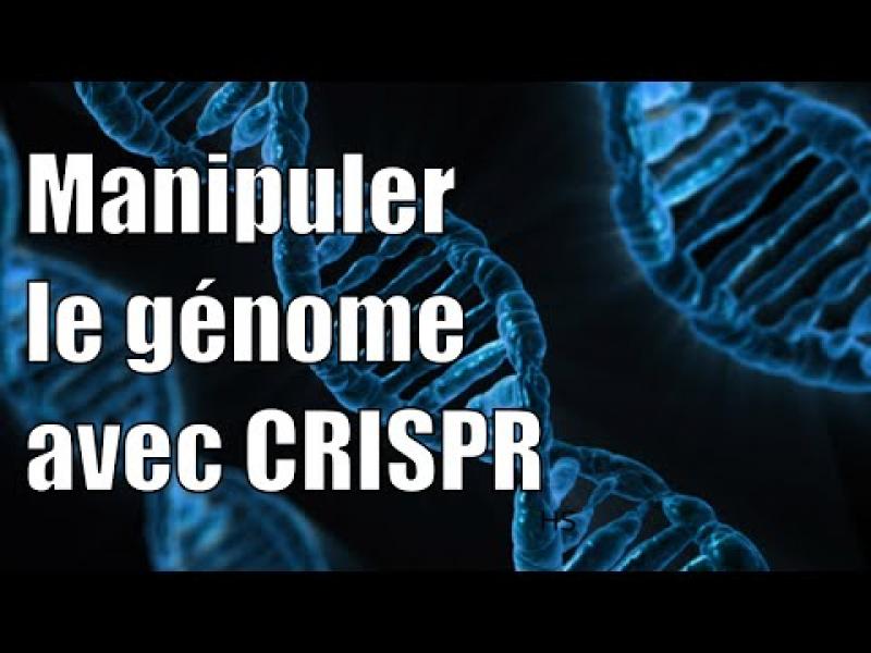 Embedded thumbnail for Modifier le génome avec CRISPR