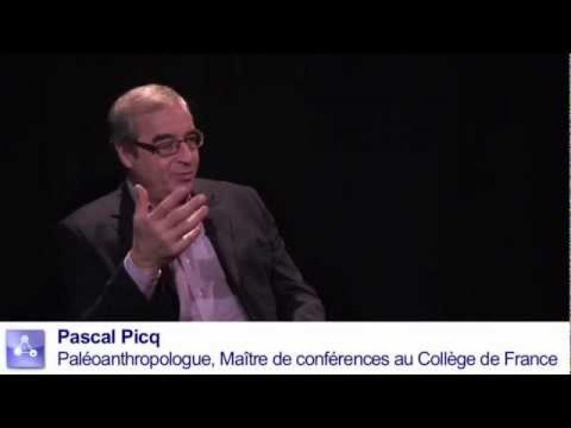 Embedded thumbnail for Rencontre avec Pascal Picq paléoanthropologue au collège de France, 